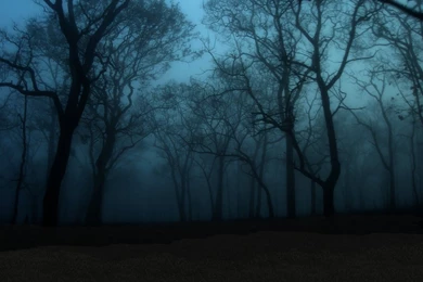 Enchanted Forest 01 By MadameM stock On DeviantArt