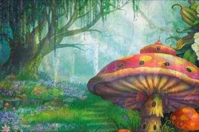 The Enchanted Forest YouTube