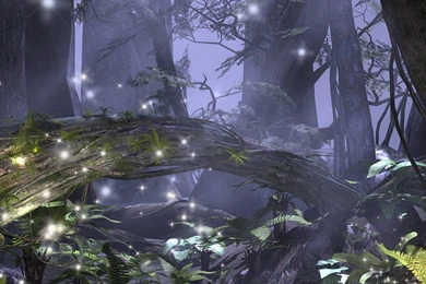 ENCHANTED FOREST Wallpapers