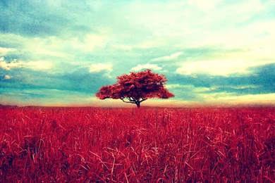 Vintage HD Wallpapers