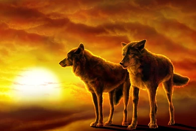 Beach Tumblr Wallpapers Iphone Beach Wallpapers