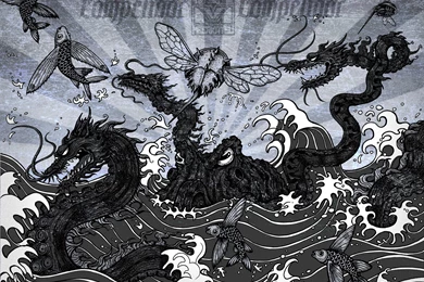 Bjj San Jose: Meerkatsu Art: Competidor T shirt And Wallpapers