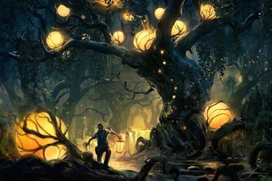 Boy forest trees lights artwork wallpaper 1920x1200 Magic4Walls.com