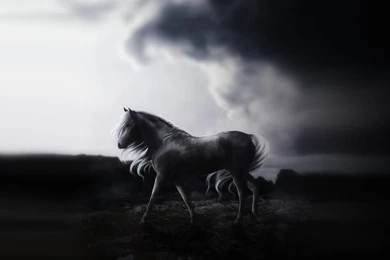 Wallpapers Love Me With Every Step I Take By Pipvl On DeviantArt