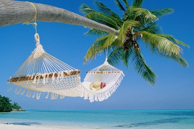 Margaritaville" Jimmy Buffett Tropical Steel Drum Cover YouTube