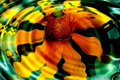 HD Nature Wallpapers Widescreen.jpg