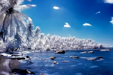 Digital Landscape Wallpapers 2 Wallcoo.net