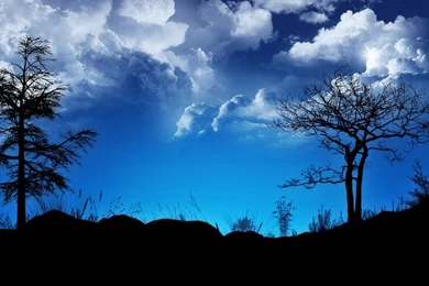 Free Screensavers And Wallpapers 7Screensavers.com