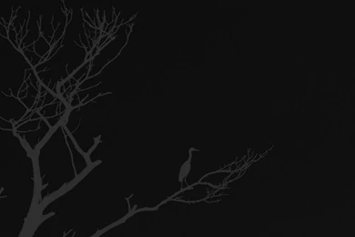 Minimal iPhone 6 Wallpapers