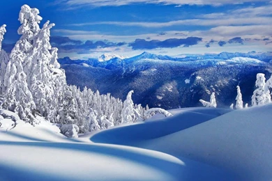 YouWall Winter Landscape Wallpapers Wallpaper,wallpapers,free ...