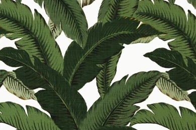 Tommy Bahama Indoor/Outdoor Swaying Palms Aloe Discount Designer ...