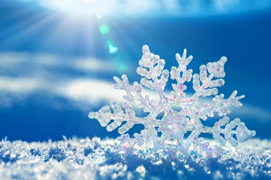 Widescreen Winter Wallpapers In High Resolution