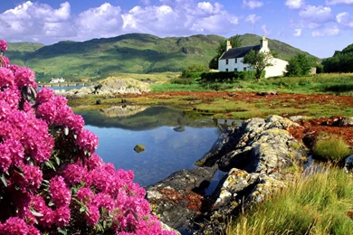 Scotland Flag Wallpapers