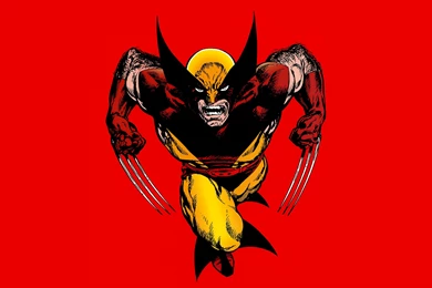 Perfect Wolverine HQ Wallpapers