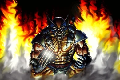 Wolverine Wallpapers Wolverine Wallpapers (3508354) Fanpop