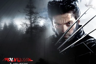 Wolverine Hugh Jackman As Wolverine Wallpapers (23433689) Fanpop