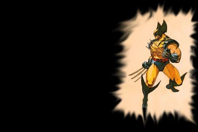 Wolverine Wallpapers Wolverine Wallpapers (3508397) Fanpop