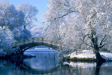 HD Wallpapers For Computer Desktop Wallpapers Cave