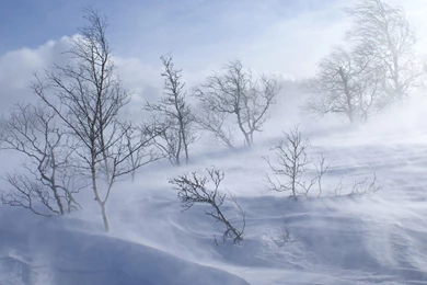 Snow Storm Desktop Wallpapers HD Wallpaper Backgrounds Of Your ...