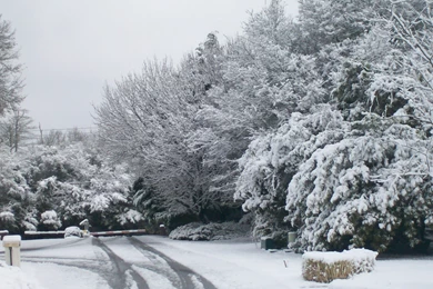 Winter: Winter Road Snow Storm Trees Jan Feb Free Wallpapers For ...