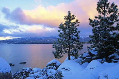 Snowstorm Wallpapers Android Apps On Google Play