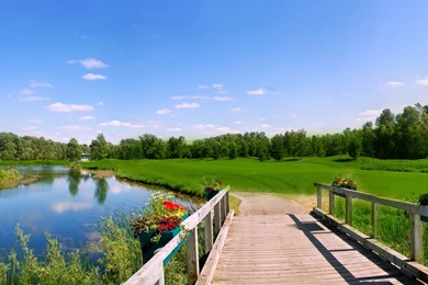 Hd Wallpapers Nature New HD Widescreen Wallpapers