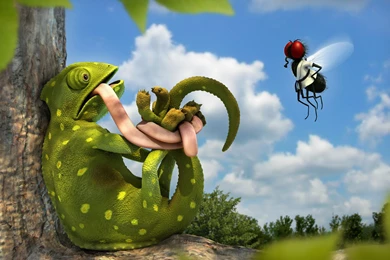 Cute Funny HD Wallpapers.