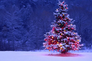 Christmas Eve Beautiful Hd Wallpapers Download