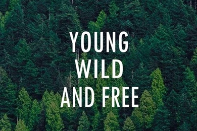 Young Wild And Free Forest Pattern iPhone 6 Plus HD Wallpapers ...