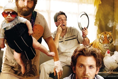 Wolf – Windows 10 Wallpapers