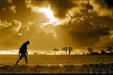 Top Wallpapers Collection (38+)