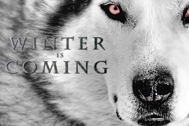 Winter Is Coming By Figure of L On DeviantArt