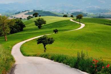 Country Road 1680 X 1050 Widescreen Wallpapers