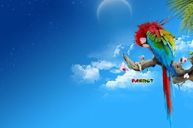 Desktop Wallpapers · Gallery · Windows 7 · Scarlet Macaw Parrot ...