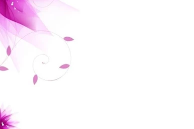 Purple Flowers iPhone 5 Wallpapers Hd 640x1136 Iphone 5 Backgrounds