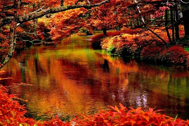 Rivers: River Autumn Scene Forest Trees Free Desktop Wallpapers For ...