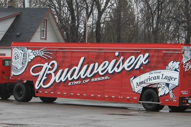 Budweiser Wikipedia, The Free Encyclopedia