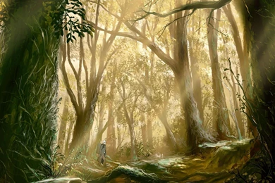 Mushishi Wallpapers Wallpapers Cave