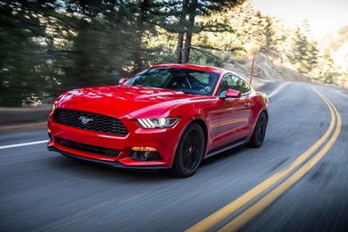 Mustang Free Wallpapers 15627 HD Wallpapers Site