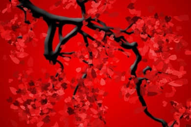 Red iPhone 6 Wallpapers 27656 Other iPhone 6 Wallpapers Other ...