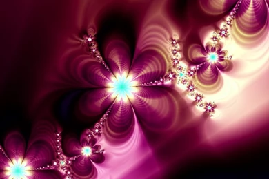 Girly Butterfly Desktop Wallpapers