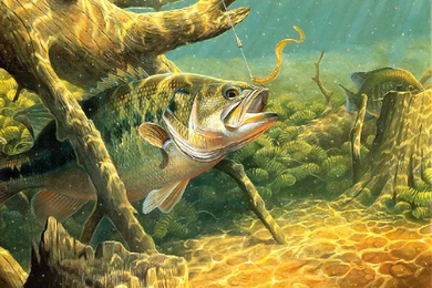 Free Tileable And Desktop Backgrounds And Wallpapers Sorted By ...