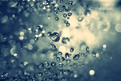 1600x1200px » Water Drops Wallpapers