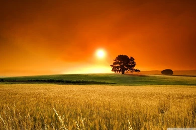 Summer Sunset HD Desktop Wallpapers : High Definition : Fullscreen ...