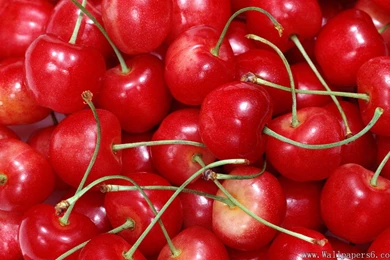 Cherry Backgrounds - Cate Wallpapers Free Download Wallpapers ...