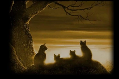 Warriors Cats Desktop Wallpapers