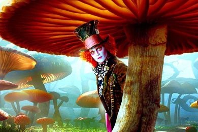 Madhatter In Wonderland (