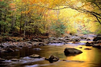 HD Wallpapers Rivers Wallpapermonkey.com