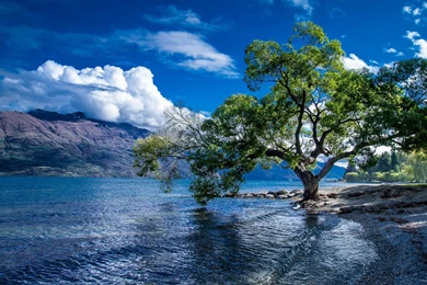 Lake Wakatipu Beautiful Landscape Wallpapers HD Download