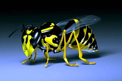 3d wallpaper animated